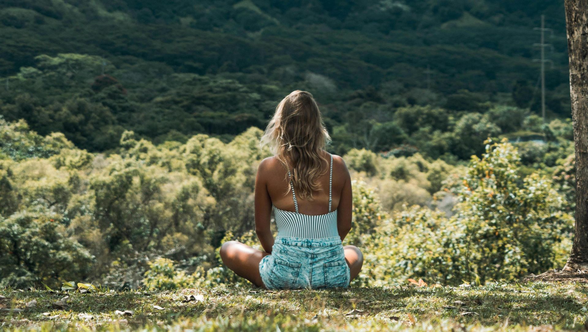 A woman sits in meditation under a tree, overlooking a tranquil mountain valley, embracing nature's calm.